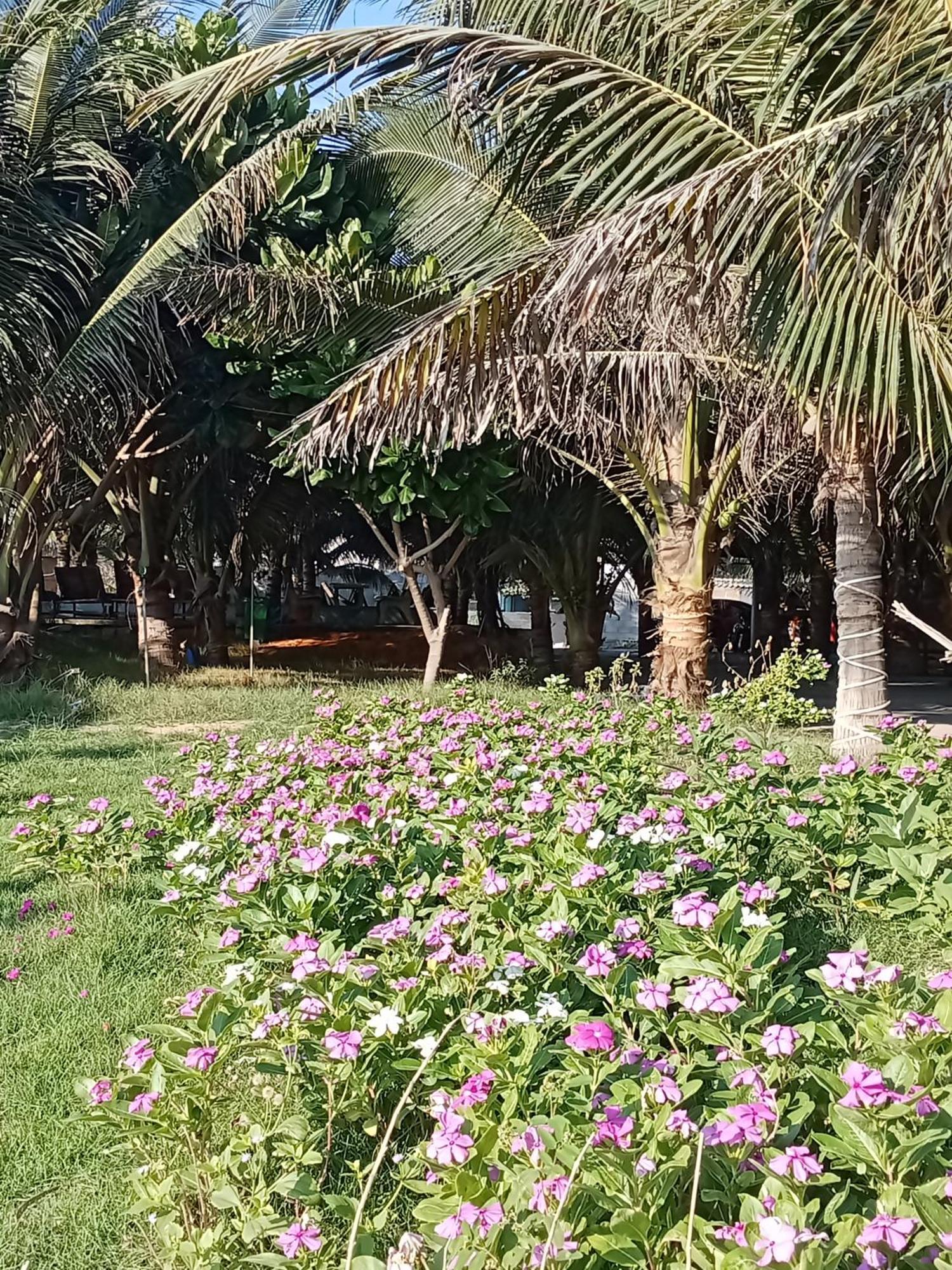 פאן ת'ייט Bien Ngoc Homstay מראה חיצוני תמונה